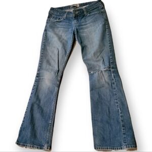 Levi Signature Jeans
